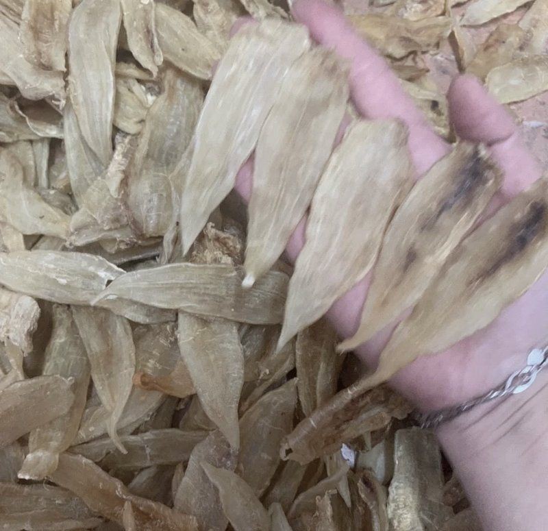 小金龍魚膠是什么魚的膠，小金龍魚膠是一種備受關注的滋補食材其來源因定義不同而有差異