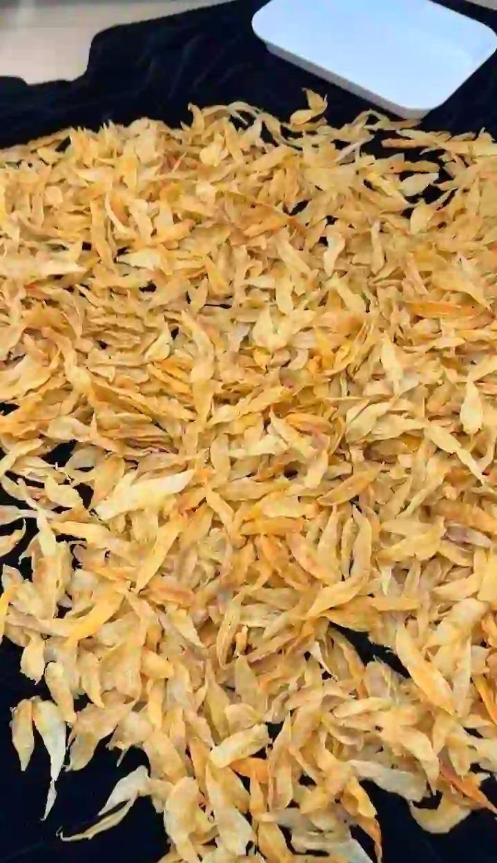 小金龍魚膠是什么魚的膠，小金龍魚膠是一種備受關注的滋補食材其來源因定義不同而有差異