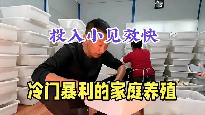 空房子養殖什么掙錢快，《空房子養殖什么掙錢快》高密度養殖讓你年賺三十萬