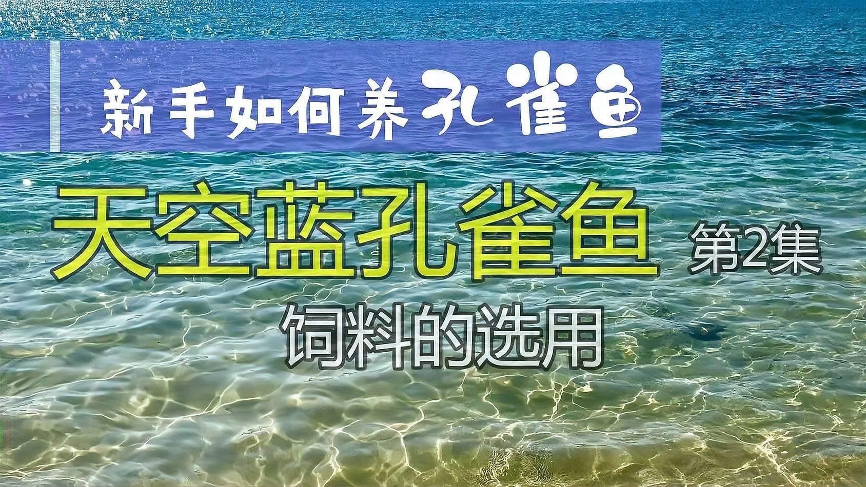 孔雀魚糧最好三個餌料，《孔雀魚糧最好三個餌料》