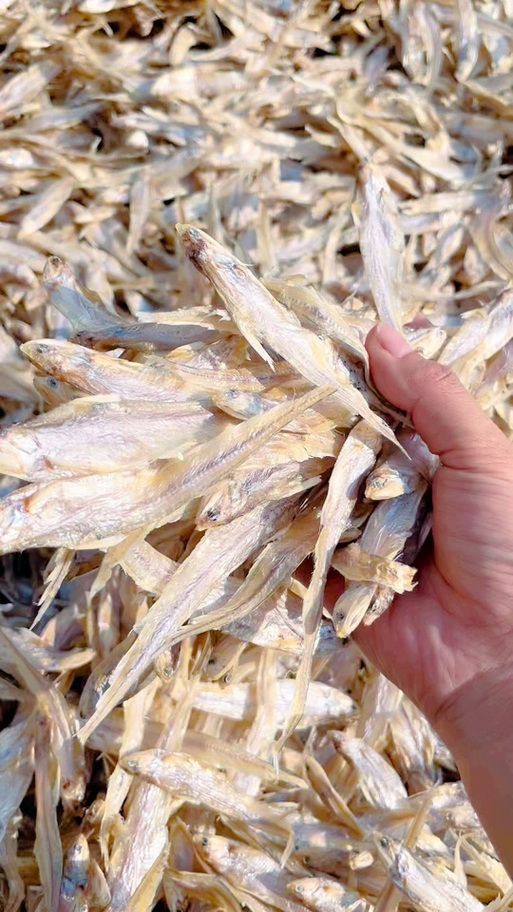 毛刀魚的圖片，河鮮界的“小鮮肉”毛刀魚