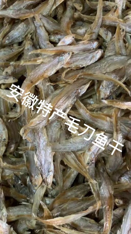 毛刀魚的圖片，河鮮界的“小鮮肉”毛刀魚