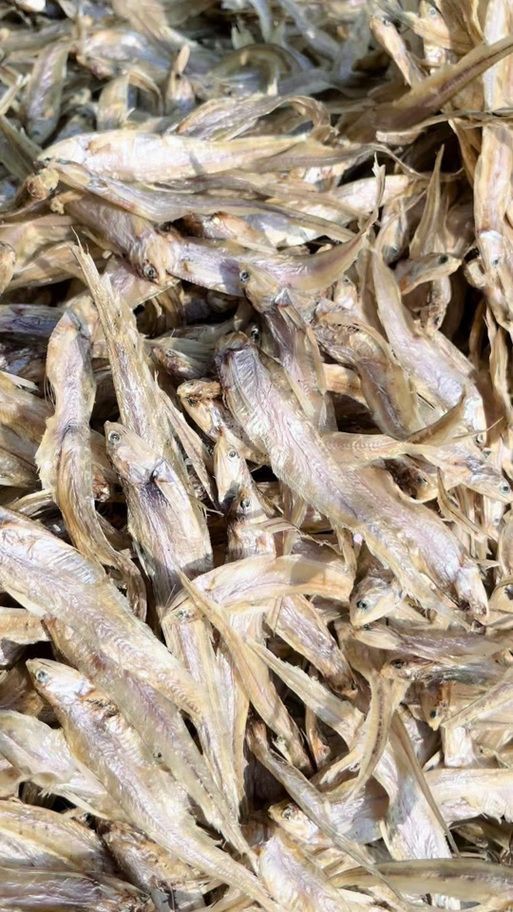 毛刀魚的圖片，河鮮界的“小鮮肉”毛刀魚