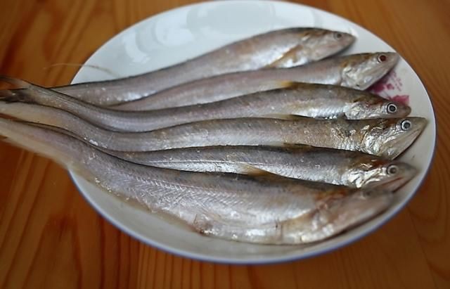 毛刀魚的圖片，河鮮界的“小鮮肉”毛刀魚