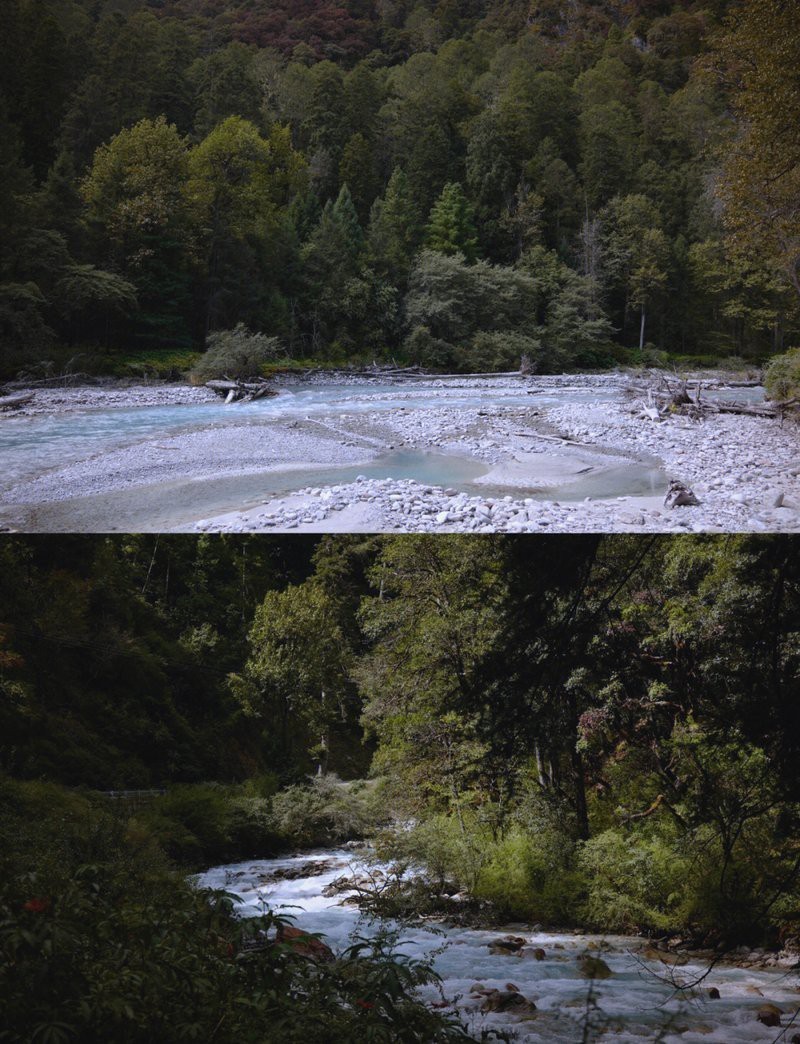 察隅龍魚店，察隅縣美食探秘