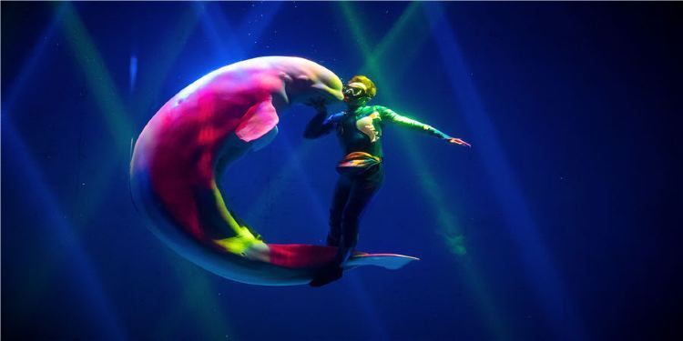 蕪湖水族館，揚的音樂館，蕪湖大白鯨