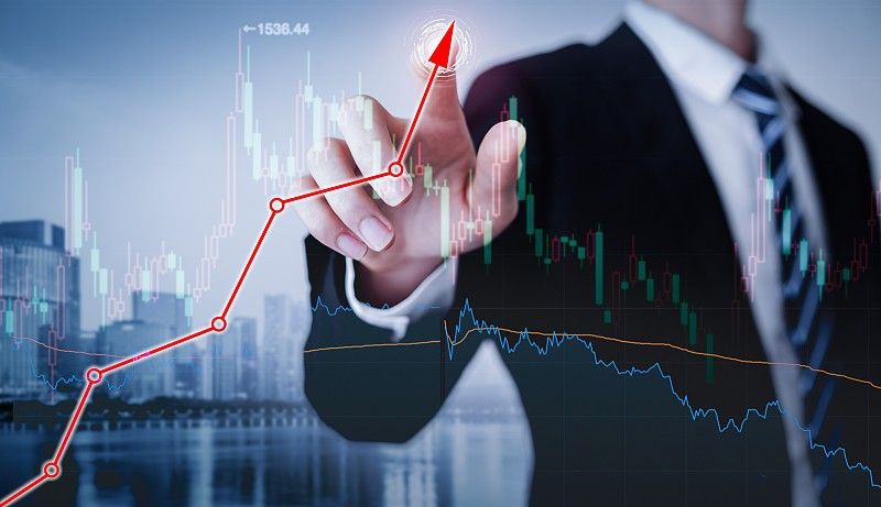 蕪湖水族館，揚的音樂館，蕪湖大白鯨