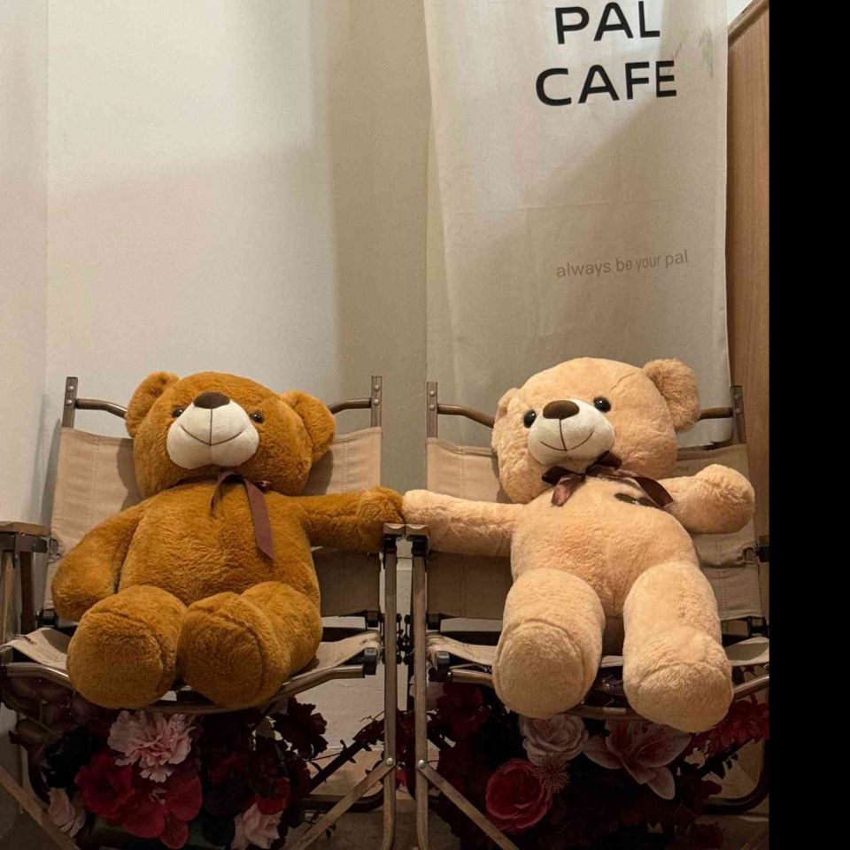 漢中魚缸維護(hù)，漢中地區(qū)的魚缸維護(hù)需注重多個關(guān)鍵環(huán)節(jié)，漢中魚缸維護(hù)需注意