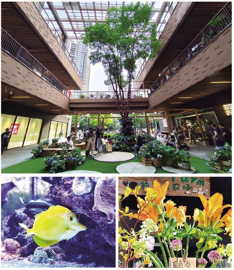 上海最大花鳥市場(chǎng)排名，上海最大的花鳥市場(chǎng)