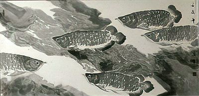 古縣龍魚店，六小六豆花魚(古縣店)