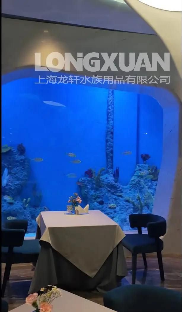 陽江魚缸定做，陽江地區的魚缸定做服務展現出多樣化與專業化的特點