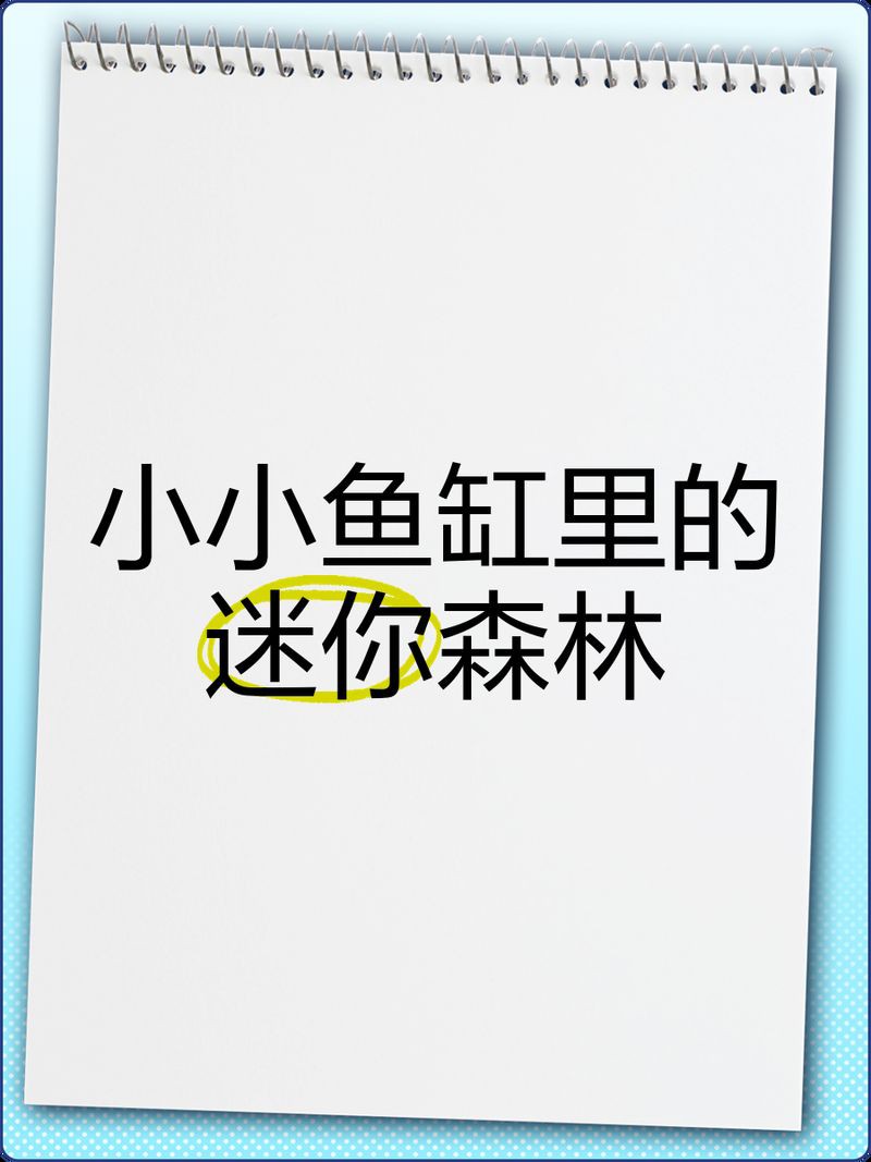 陽江魚缸定做，陽江地區的魚缸定做服務展現出多樣化與專業化的特點
