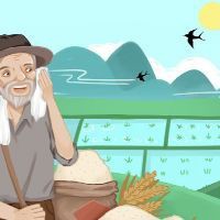 陽江魚缸定做，陽江地區的魚缸定做服務展現出多樣化與專業化的特點