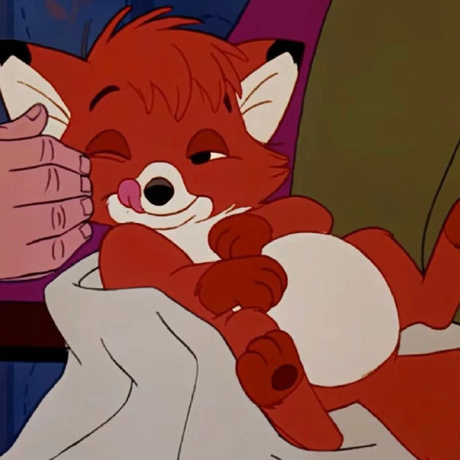 紅尾美人魚長(zhǎng)大后，紅尾美人魚是什么魚紅尾美人魚是什么魚