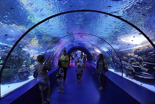世界十大水族館排名，世界十大水族館