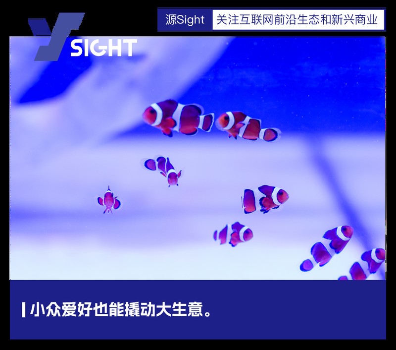 廣豐水族店，廣豐水族店有哪些特色產品