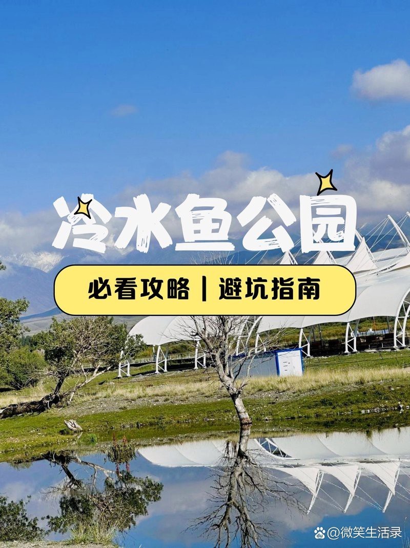 博州龍魚(yú)店，博州有沒(méi)有龍魚(yú)養(yǎng)殖場(chǎng)
