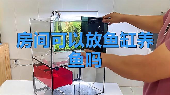 為什么不建議家里養魚，《為什么不建議家里養魚》