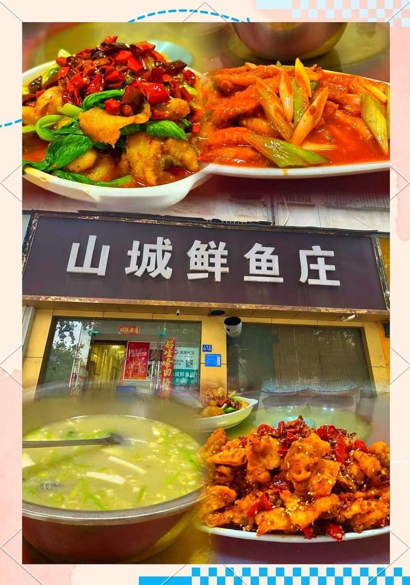鞏義龍魚店，鞏義有龍魚專賣店嗎
