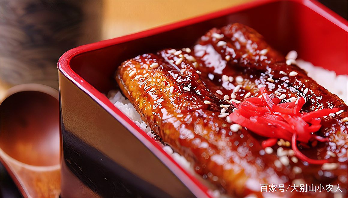 電鰻是國(guó)家保護(hù)動(dòng)物嗎，寵物網(wǎng)在野外放生電鰻是國(guó)家保護(hù)動(dòng)物嗎寵物網(wǎng)在野外放生電鰻違法嗎