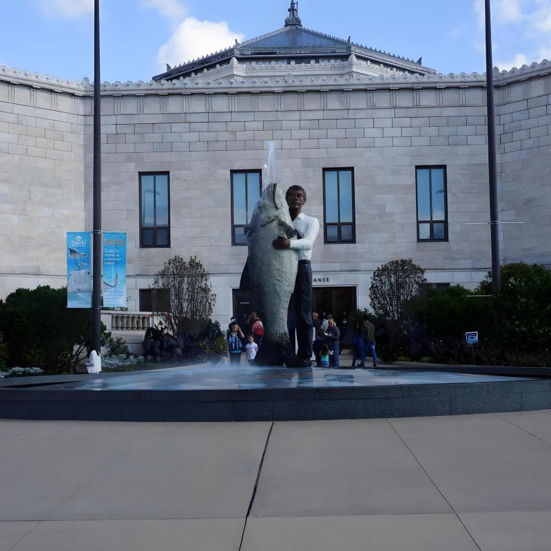 喜德水族店，水智方水族旗艦店喜德水族實(shí)體店沃韋朗水族實(shí)體店