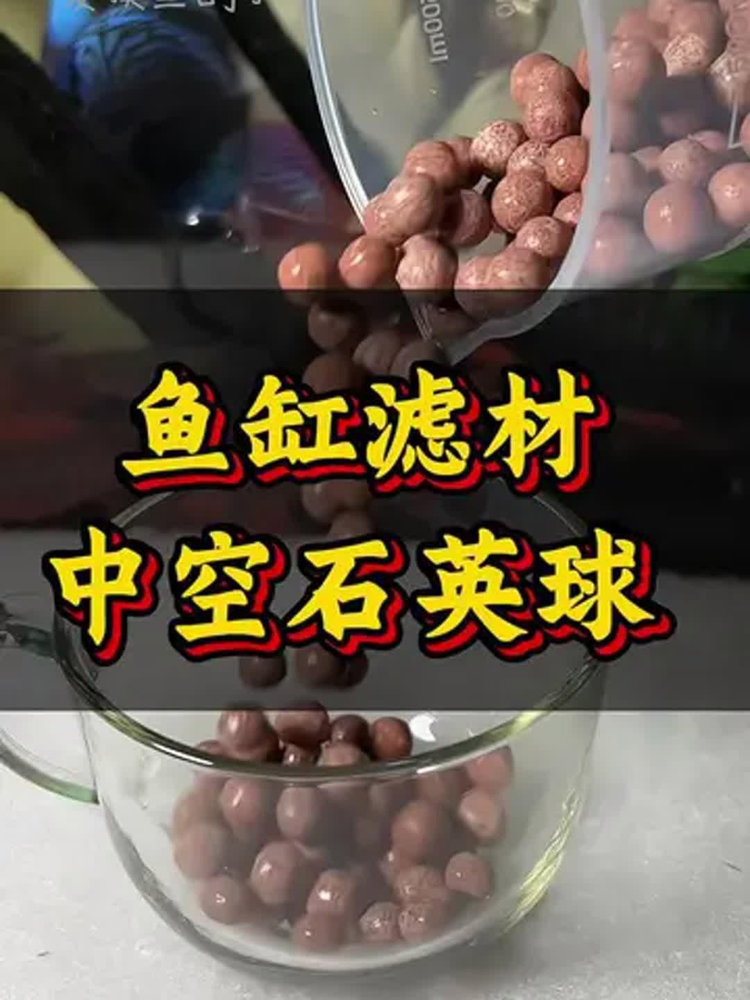 濾材排名第一名，《濾材排名第一名》