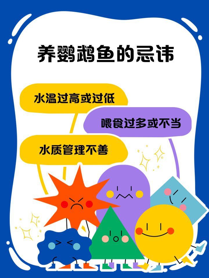 冷水鸚鵡魚最忌三個東西，養(yǎng)鸚鵡魚的禁忌
