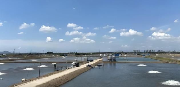 石嘴山水族批發市場，石嘴山水族批發市場綜合信息整理大武口區境美水族館排行榜