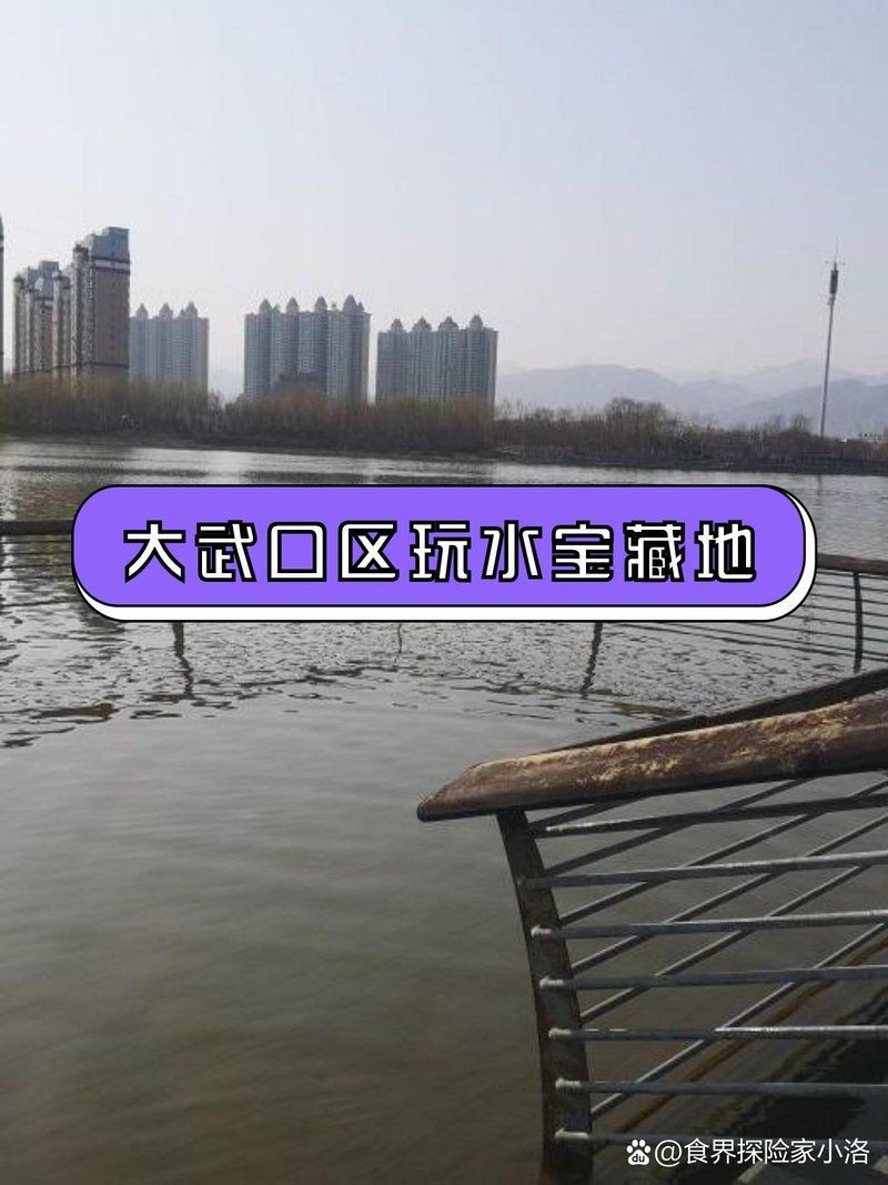 石嘴山水族批發市場，石嘴山水族批發市場綜合信息整理大武口區境美水族館排行榜