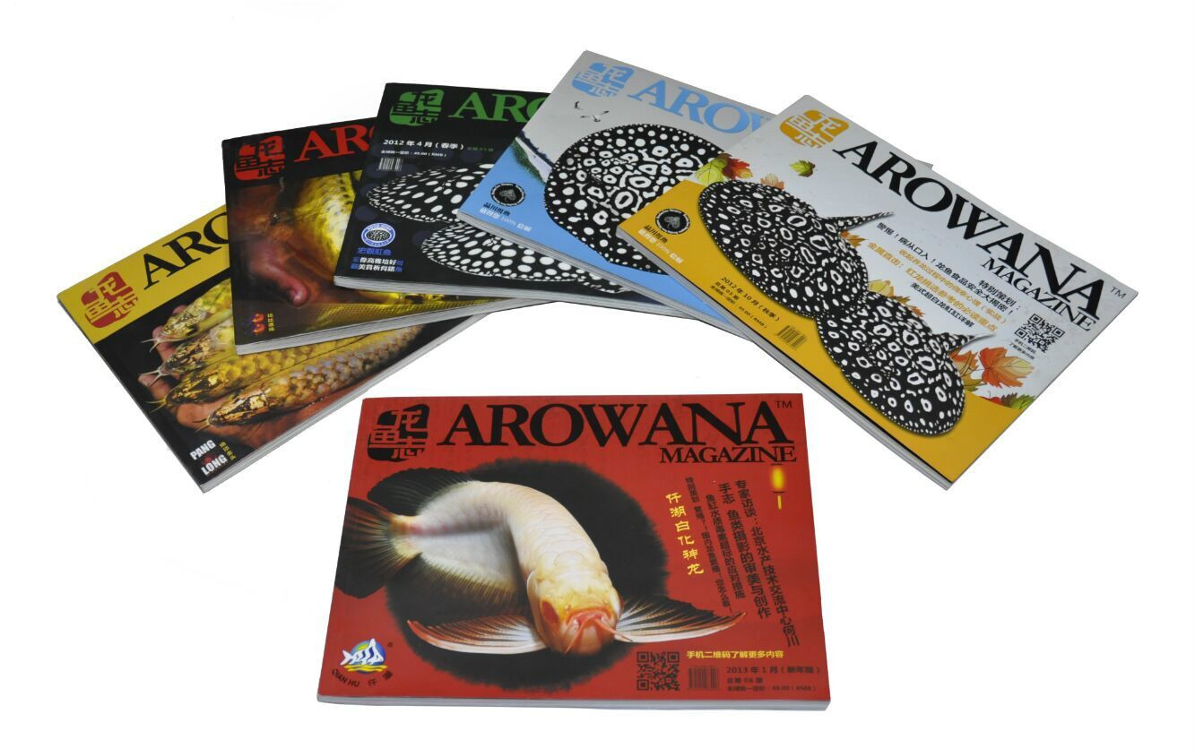 古交龍魚店，北京古交龍魚店有哪些品種古交龍魚店有線上銷售嗎