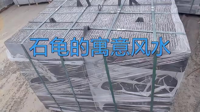 石龜擺放的最佳位置在哪里？，石龜擺放位置大有講究