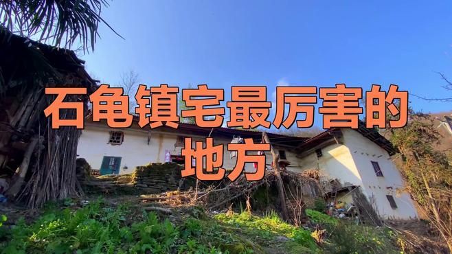 石龜擺放的最佳位置在哪里？，石龜擺放位置大有講究