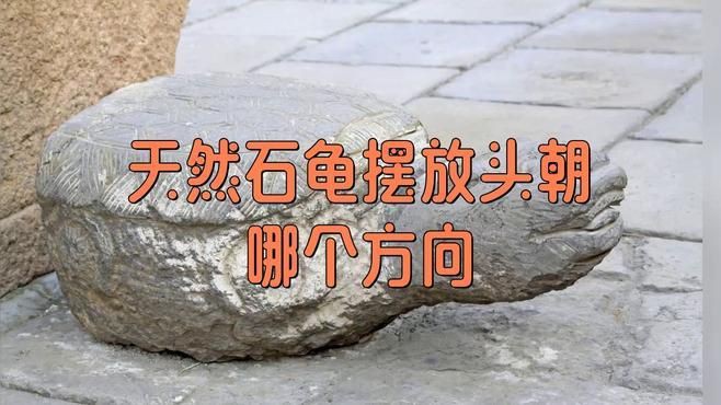 石龜擺放的最佳位置在哪里？，石龜擺放位置大有講究
