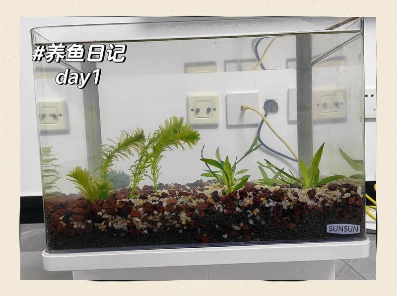 商洛魚缸批發市場，商洛市魚缸批發市場