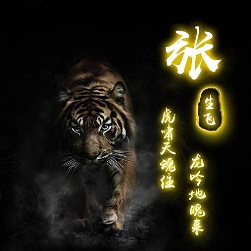 有沒有帶張字的龍圖片？，“有沒有帶張字的龍圖片”與“帶張字的龍”相關的視覺藝術創作及資源匯總