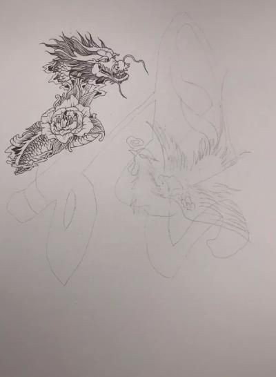 有沒有帶張字的龍圖片？，“有沒有帶張字的龍圖片”與“帶張字的龍”相關的視覺藝術創作及資源匯總