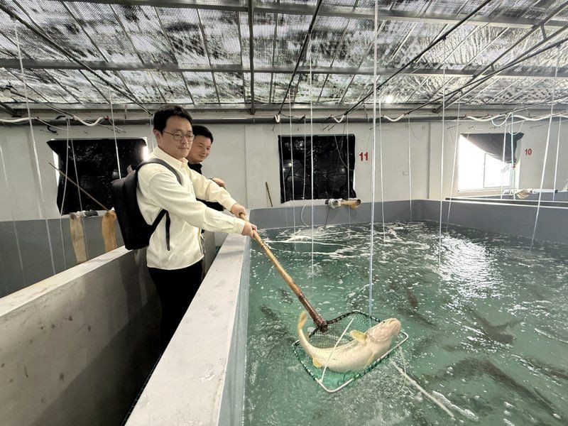 黃山水族店，黃山市屯溪區(qū)金海洋水族館