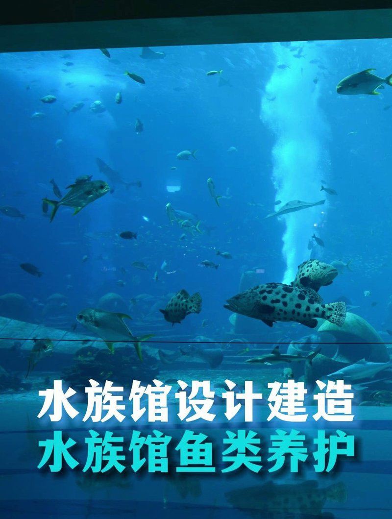 黃山水族店，黃山市屯溪區(qū)金海洋水族館