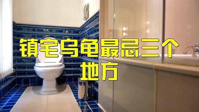 石龜擺放有哪些禁忌方位？，家里養龜千萬別放這位置!放錯可能壞了長壽運!