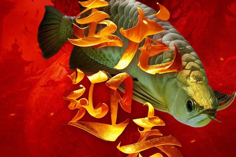 隨州龍魚店，隨州龍魚產業發展趨勢