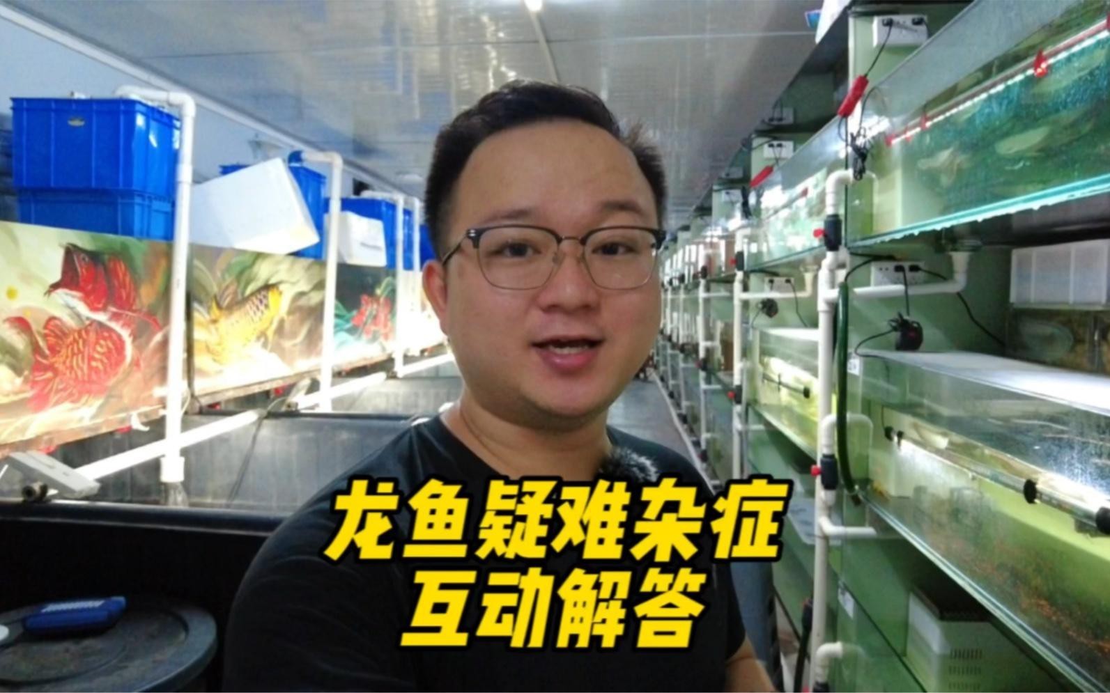 養兩條龍魚有哪些注意事項？，《養兩條龍魚的注意事項》飼養兩條龍魚是一項頗具挑戰性的水族活動