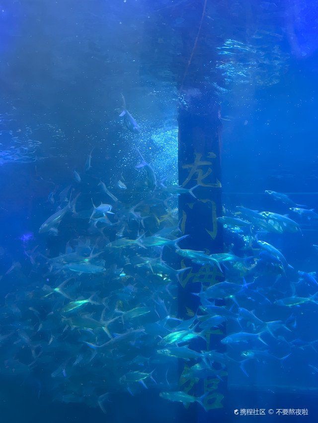 洛陽一二水族最厲害三個(gè)地方，洛陽水族主題場所各具特色