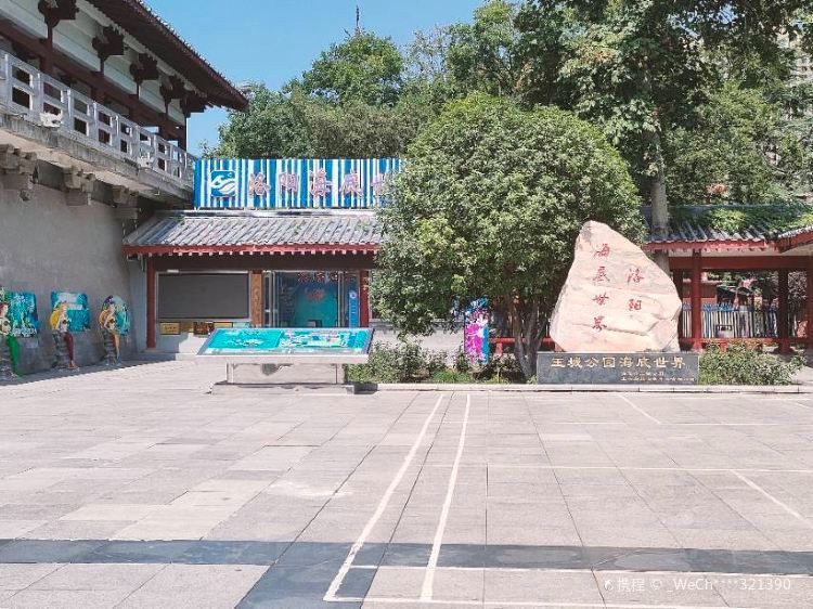 洛陽一二水族最厲害三個(gè)地方，洛陽水族主題場所各具特色