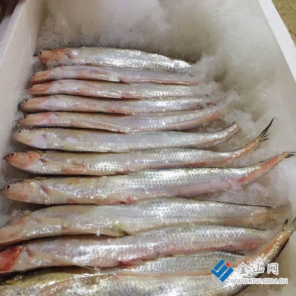 刀魚(yú)價(jià)格一覽表，2025年8月刀魚(yú)價(jià)格的綜合分析及區(qū)域價(jià)格一覽表