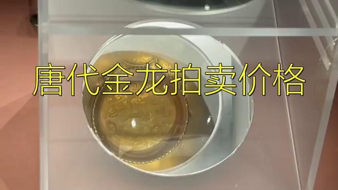 古典金龍的價格范圍，古典過背金龍價格大揭秘,幾百元就能買到高品質