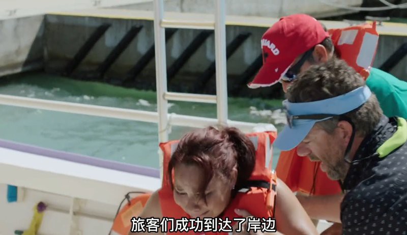 世界上真的有五頭鯊嗎，《世界上真的有五頭鯊嗎》五大鯊魚充滿的神秘與未知