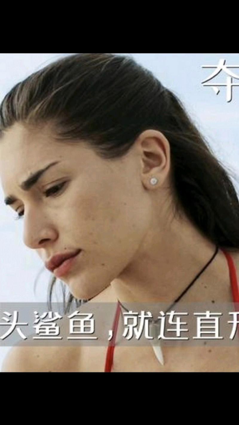 世界上真的有五頭鯊嗎，《世界上真的有五頭鯊嗎》五大鯊魚充滿的神秘與未知