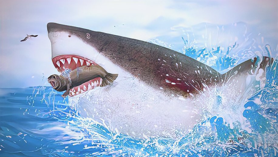 世界上真的有五頭鯊嗎，《世界上真的有五頭鯊嗎》五大鯊魚充滿的神秘與未知