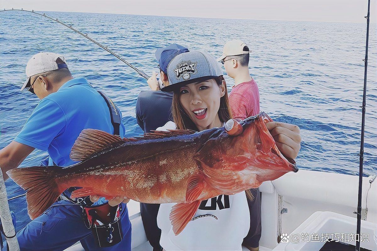 海魚價(jià)格排名大全，全球十大最昂貴海魚排行榜張三少云柳葉落了盤點(diǎn)海洋中價(jià)值不菲的10種魚類