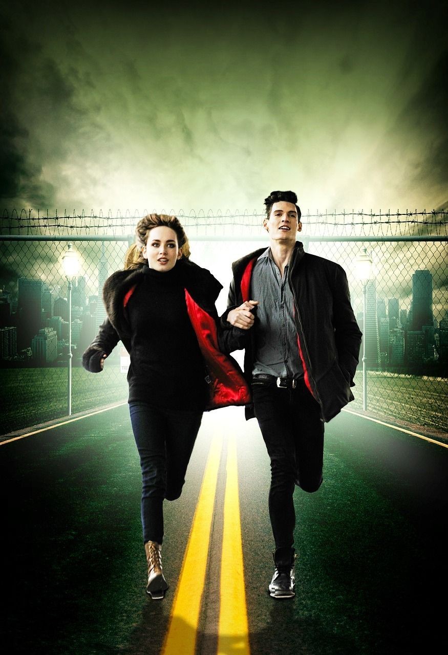 錦州魚缸定做，錦州地區的魚缸定做服務展現出多樣化與專業化的特點